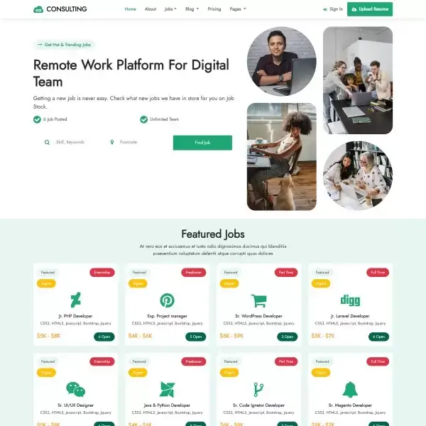 Website Consultation